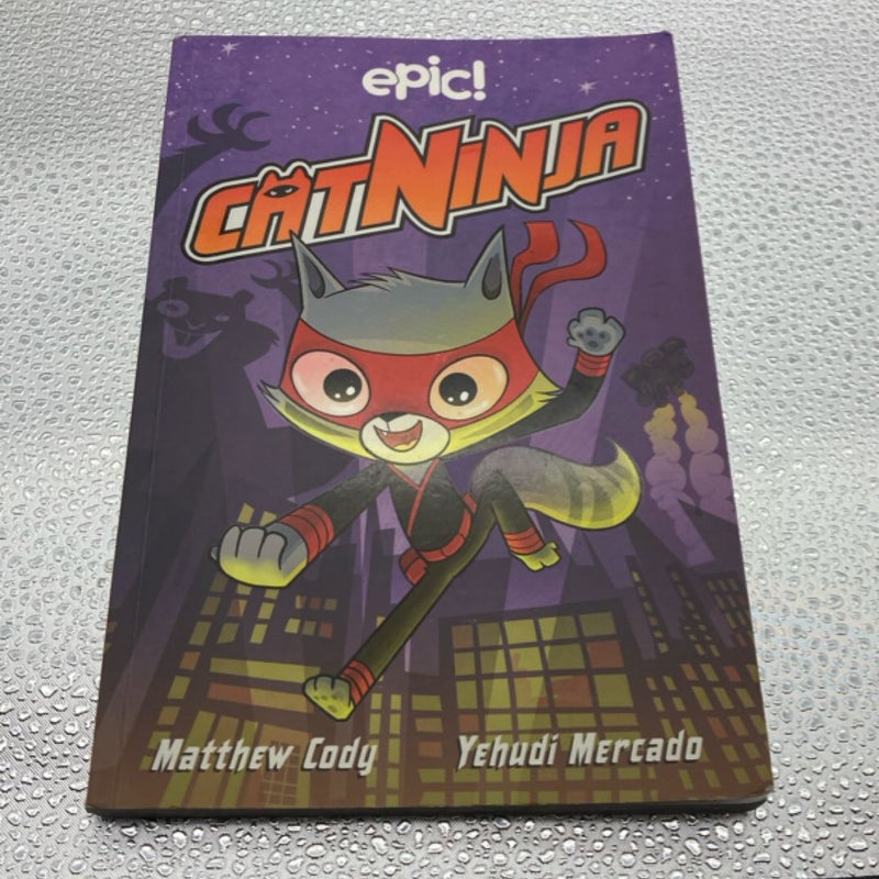Cat Ninja