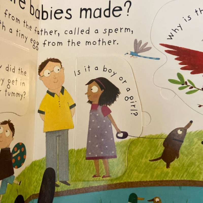 Lift-The-Flap First Questions and Answers Where Do Babies Come From?