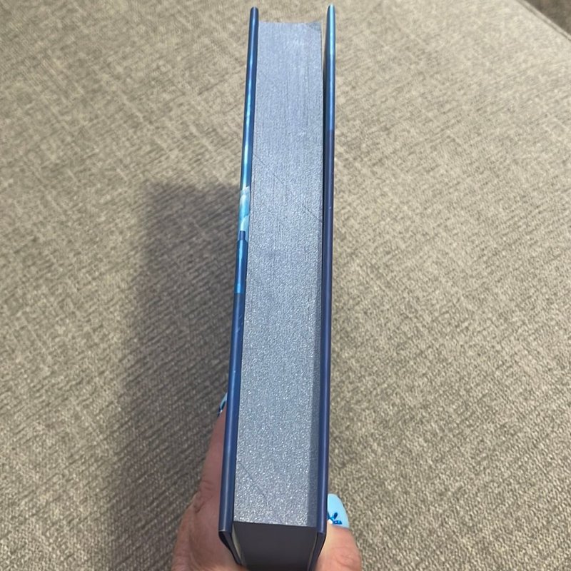 The Bright and The Pale