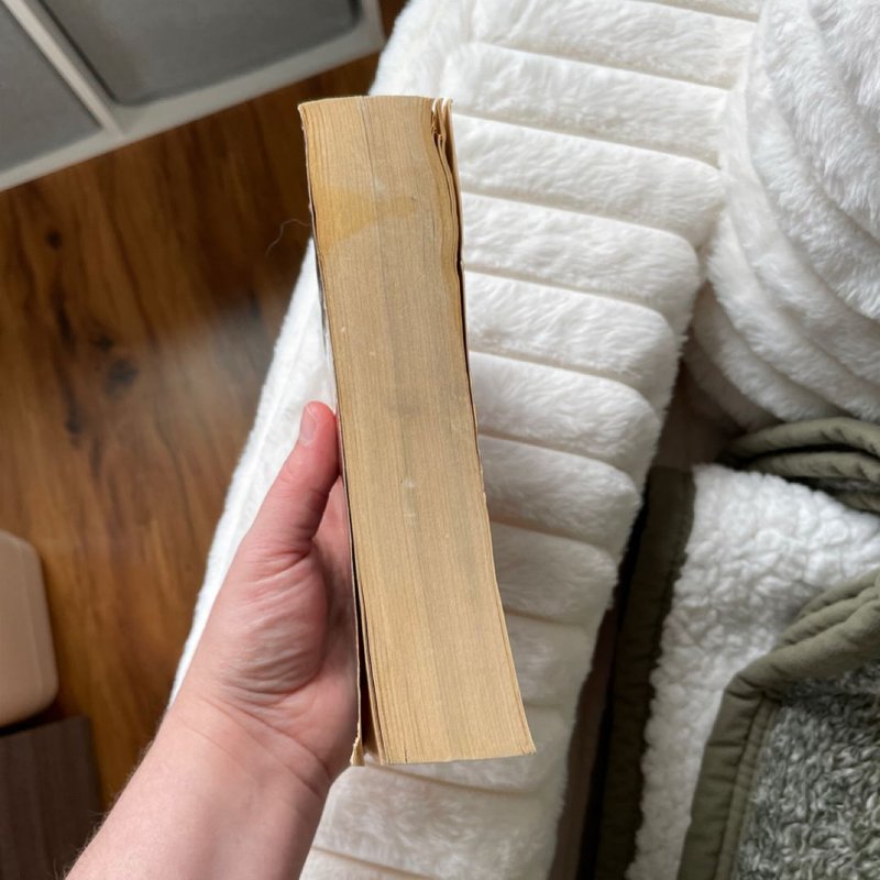 The Last Command: Star Wars Legends (the Thrawn Trilogy)