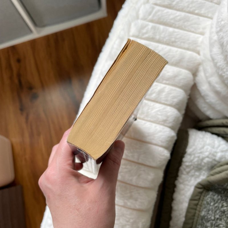 The Last Command: Star Wars Legends (the Thrawn Trilogy)