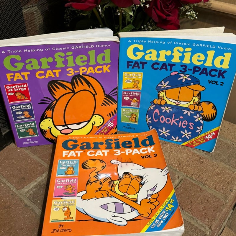 Garfield Fat Cat 3-Pack Paperback Book Bundle