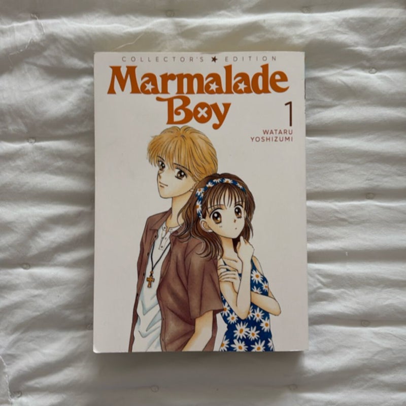 Marmalade Boy: Collector's Edition 1
