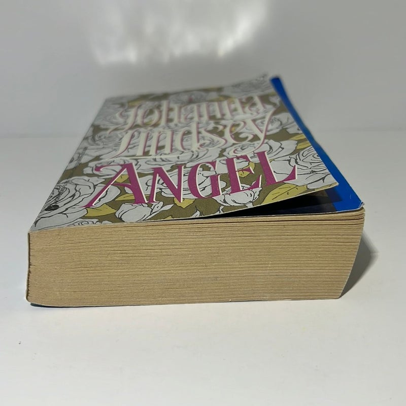 Angel (Wyoming, Book 3) 
