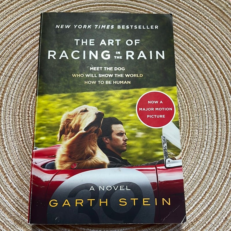 The Art of Racing in the Rain Tie-In