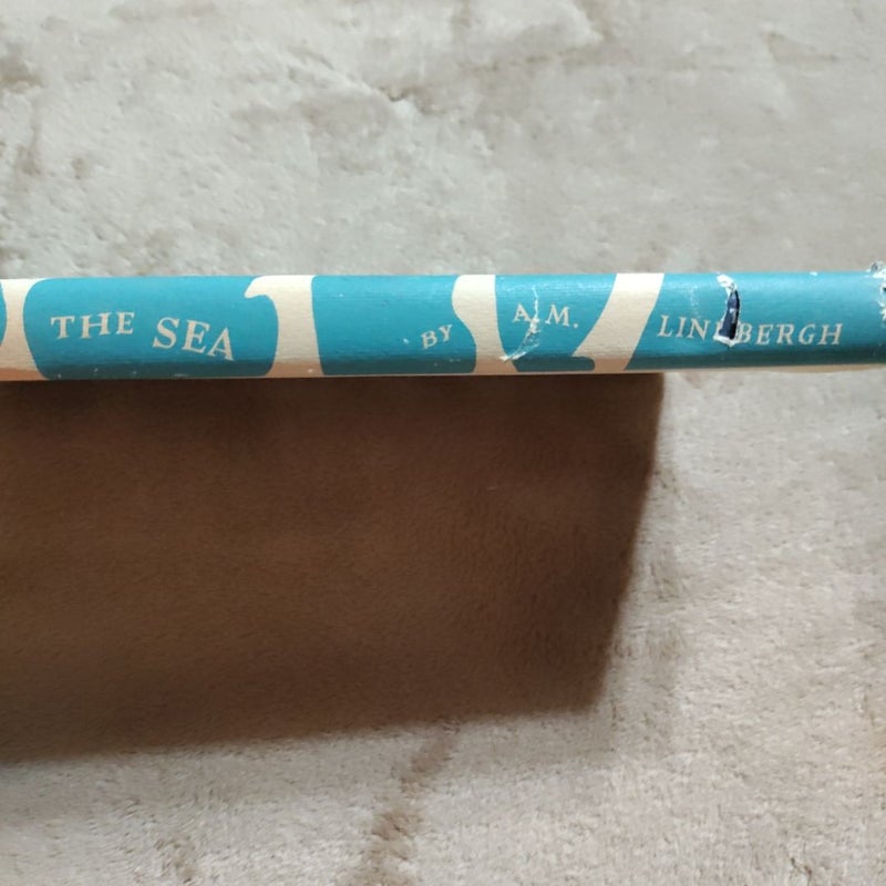 Gift from the Sea