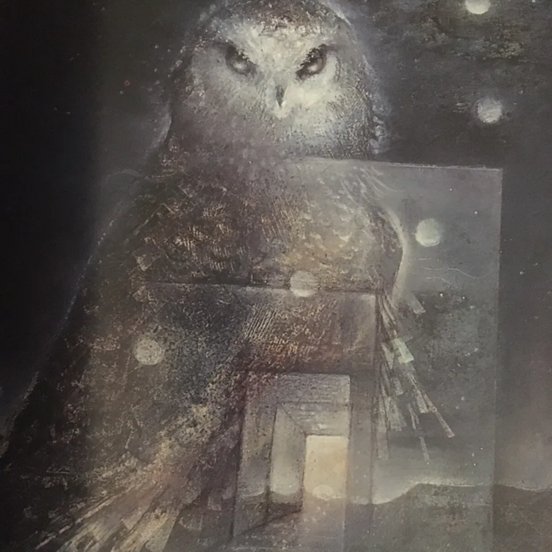 Shaman : The Paintings of Susan Seddon Boulet 