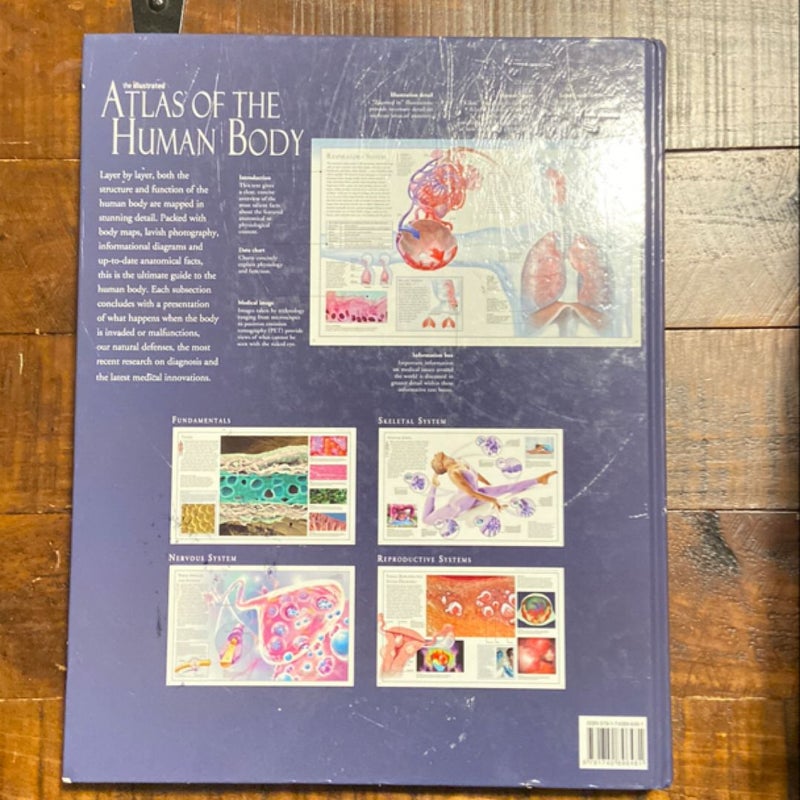 The Illustrated Atlas of the Human Body