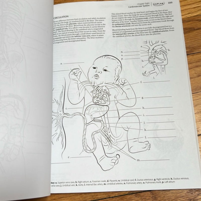Anatomy Coloring Book