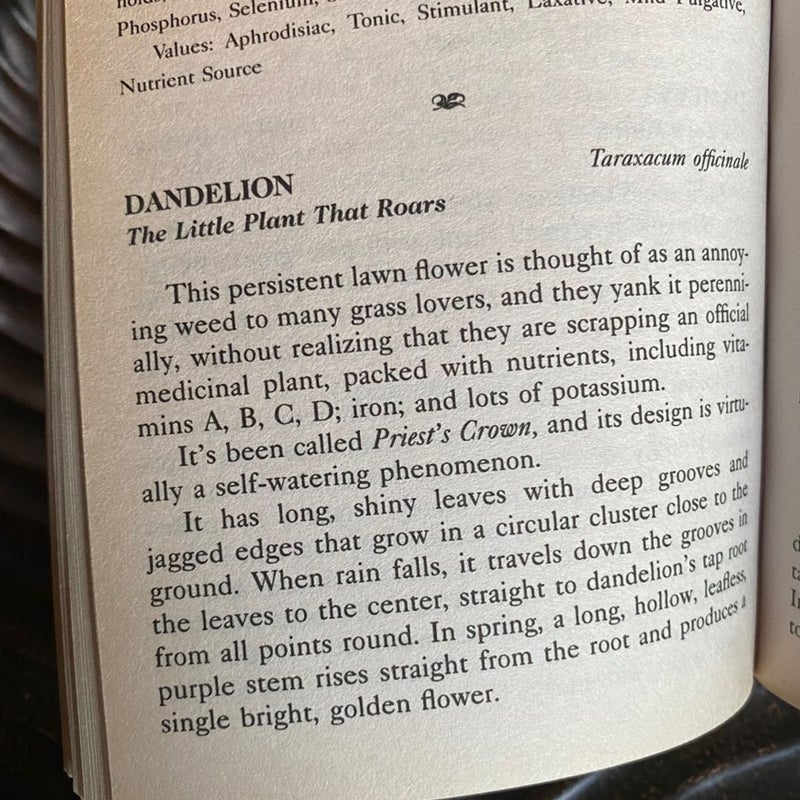 20,000 Secrets of Tea