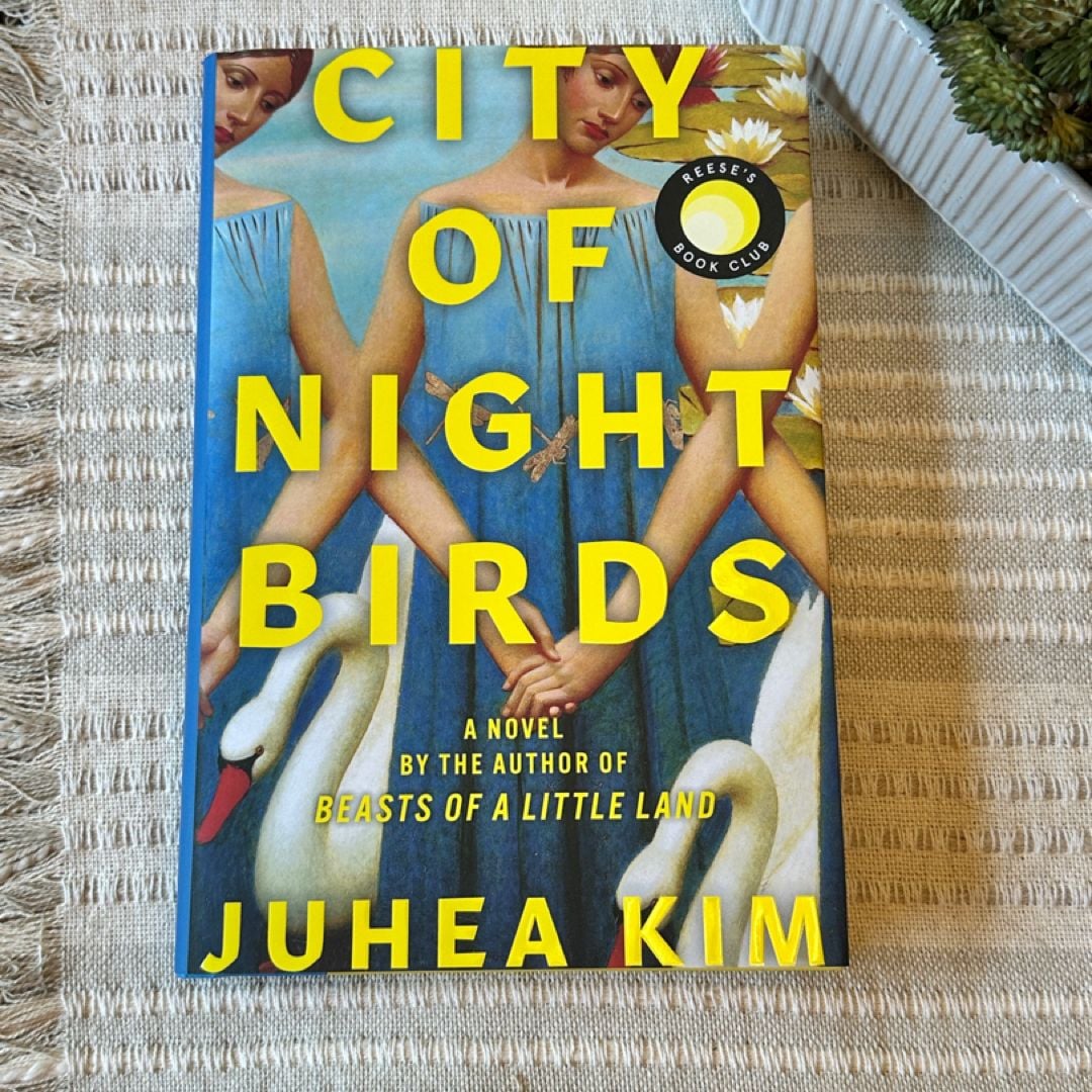 City of Night Birds by Juhea Kim, Hardcover Pangobooks