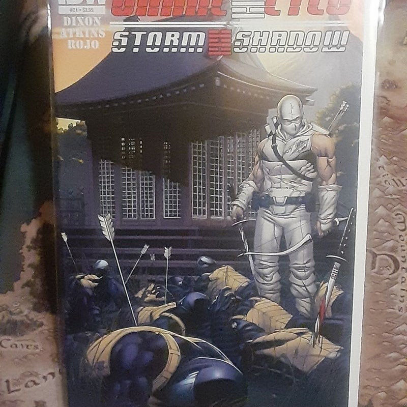 G.I. JOE Snake Eyes and Storm Shadow 21, final issue 