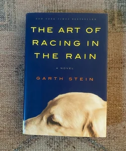 The Art of Racing in the Rain