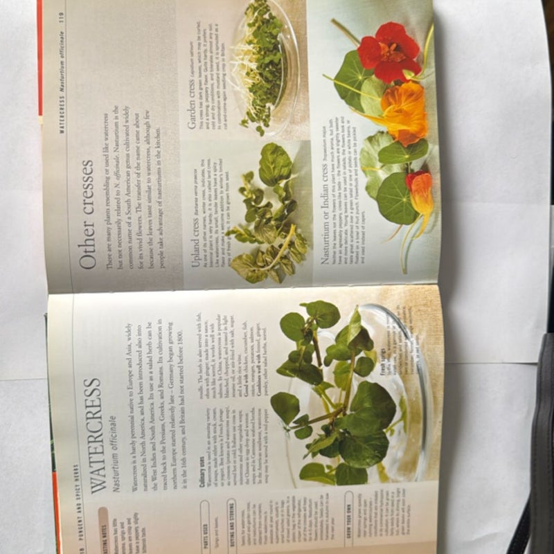 Herbs and Spices
