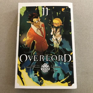 Overlord, Vol. 11 (manga)