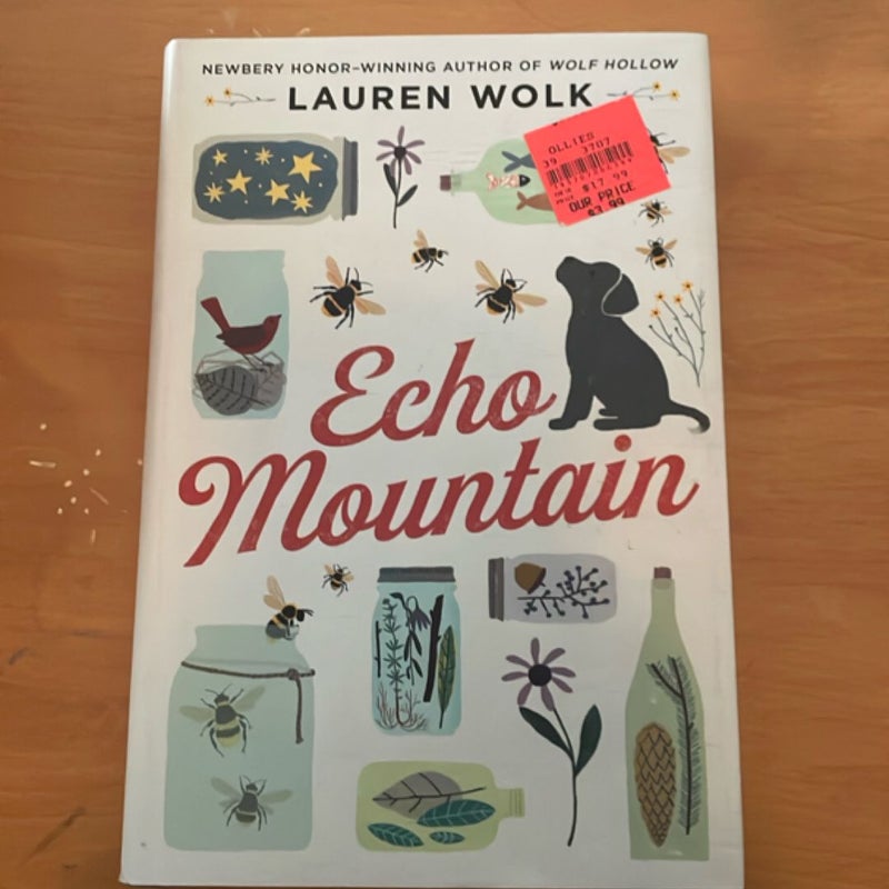 Echo Mountain