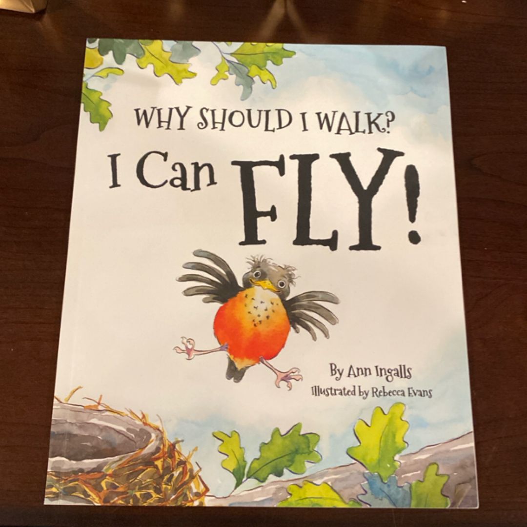 Why Should I Walk? I Can Fly!