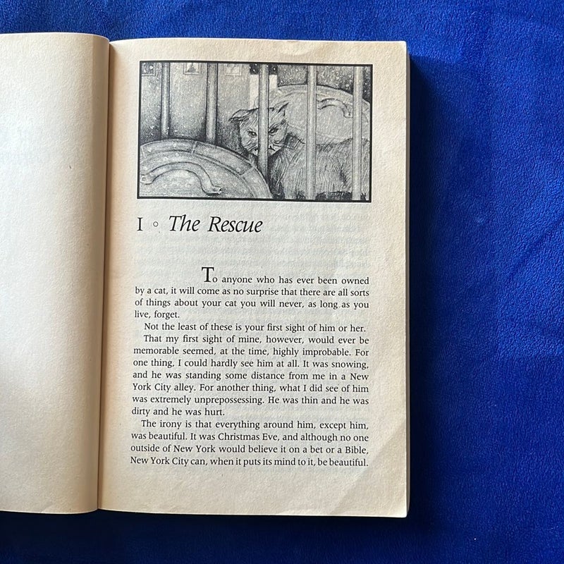 The Cat Who Came for Christmas by Cleveland Amory, Paperback Pangobooks