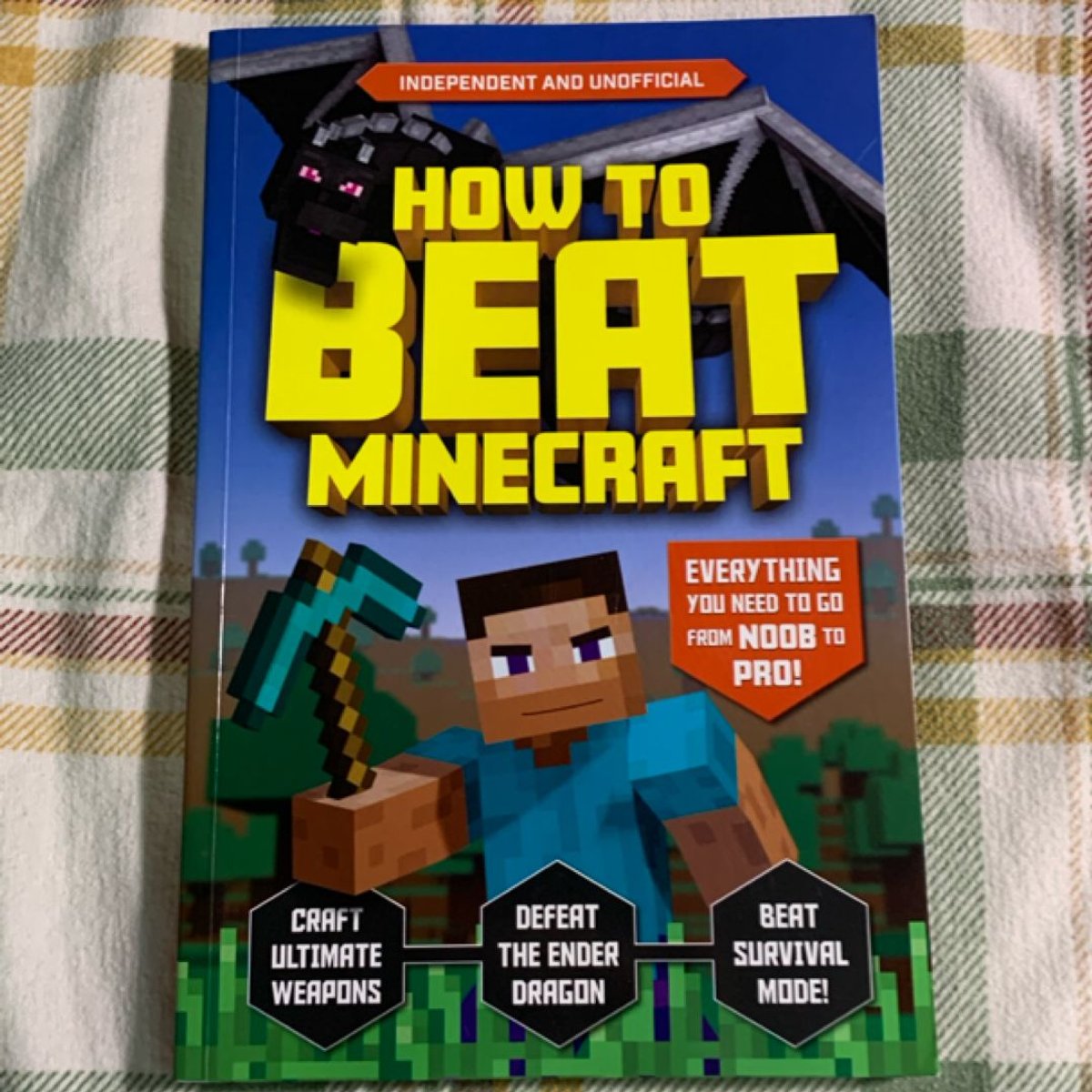 How to Beat Minecraft (Independent and Unofficial) by Kevin Pettman