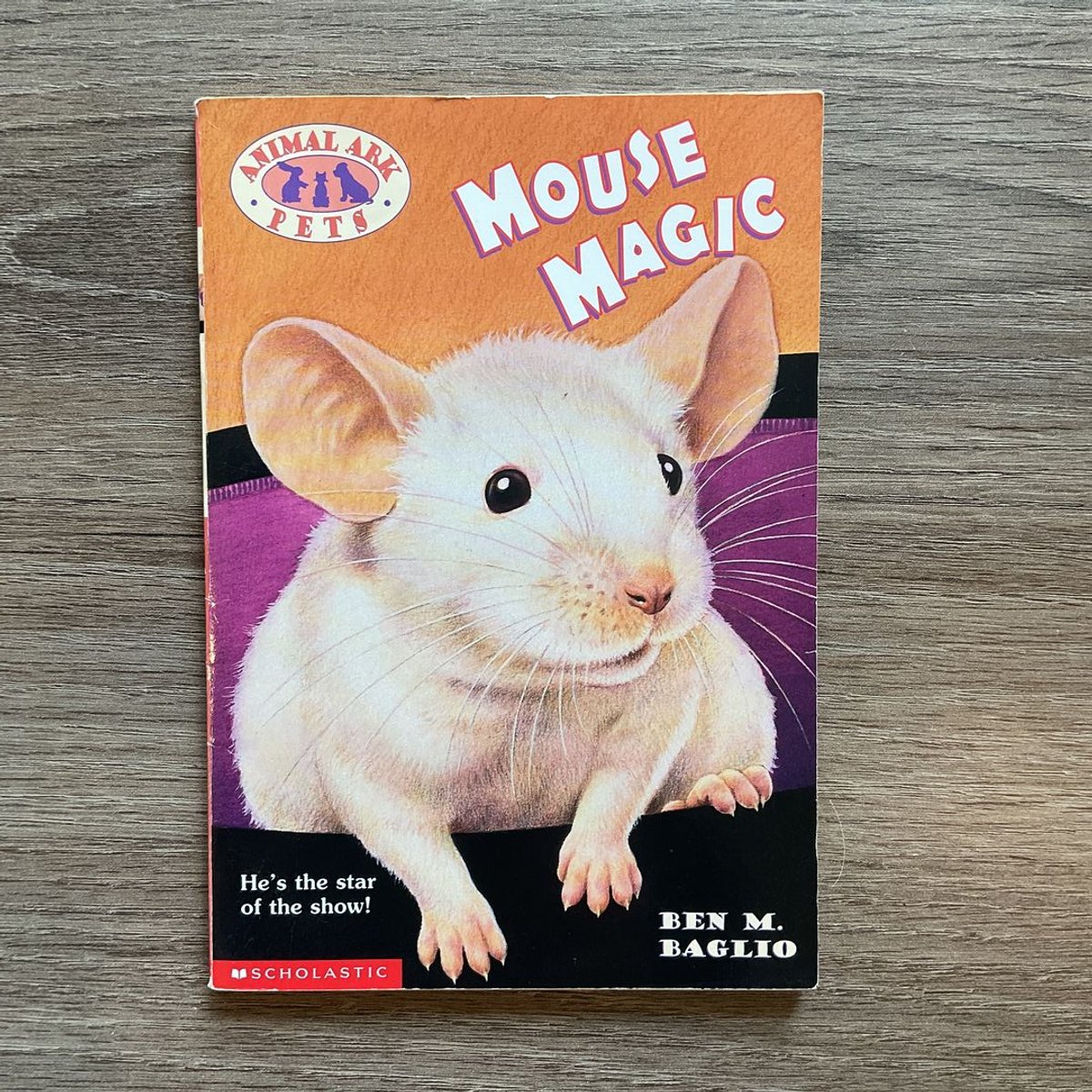 Mouse Magic by Lucy Daniels, Ben M. Baglio