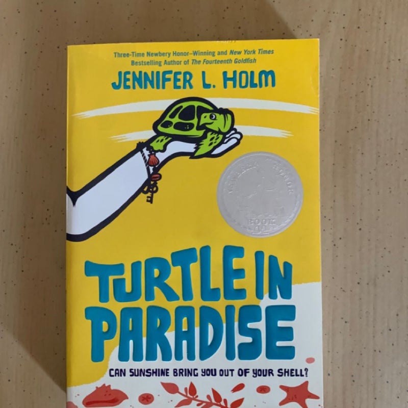 Turtle in Paradise