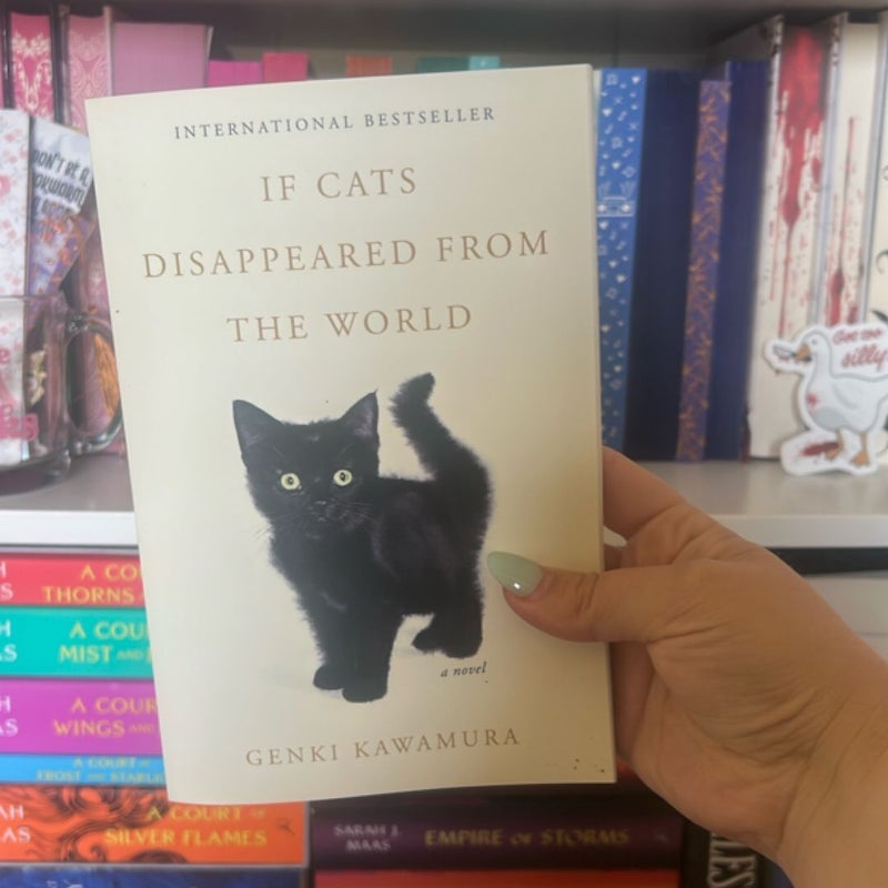 If Cats Disappeared from the World