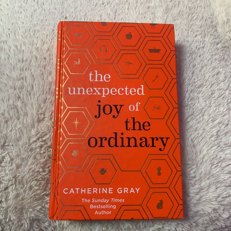 The Unexpected Joy of the Ordinary