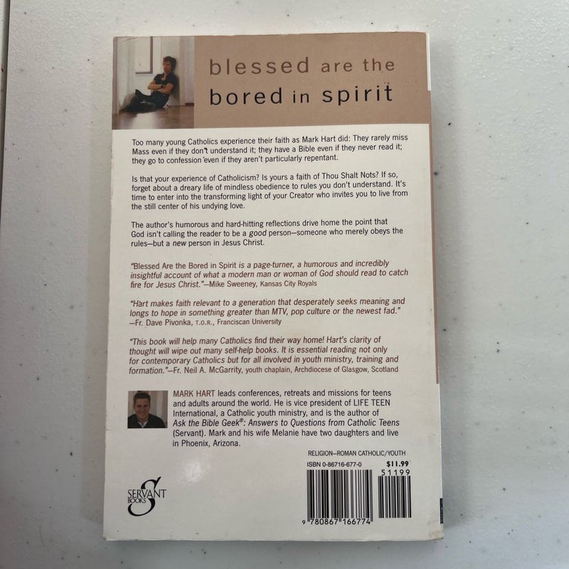 Blessed Are the Bored in Spirit