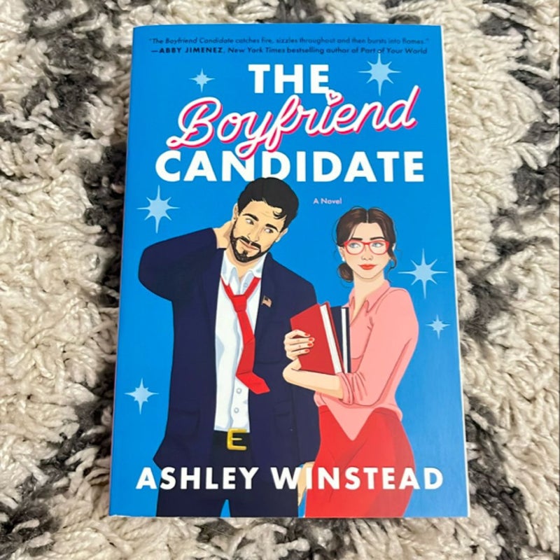 The Boyfriend Candidate