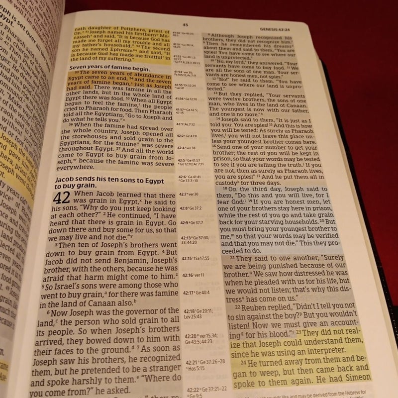 NIV Rainbow Study Bible, Saddle Brown LeatherTouch