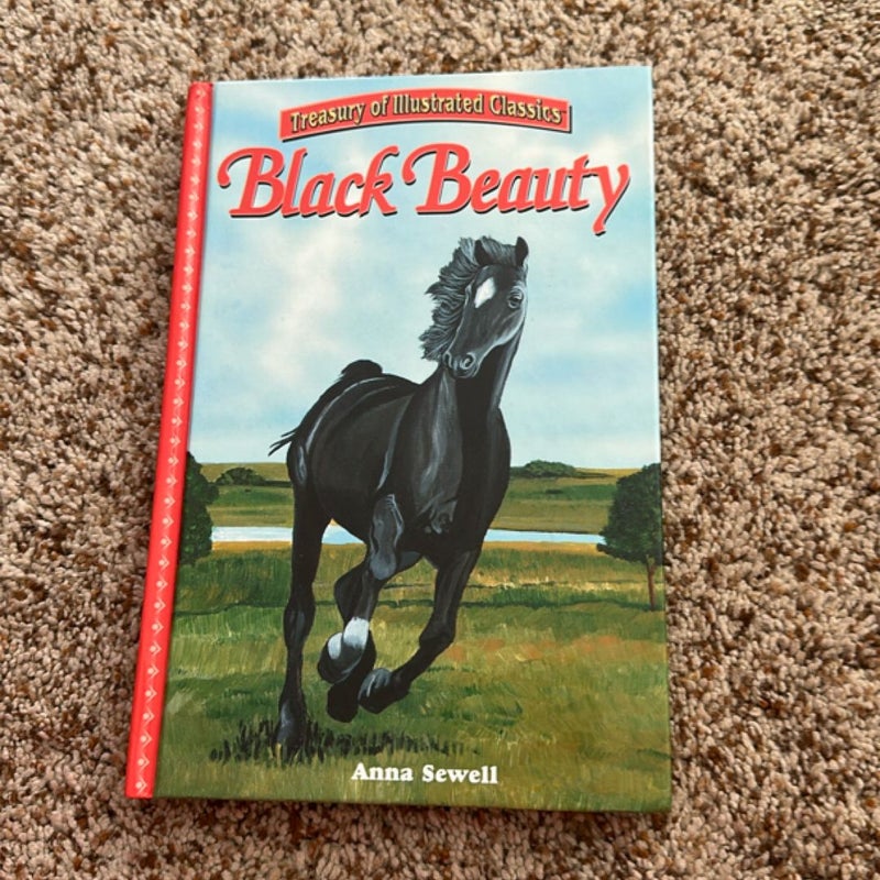 Black beauty 