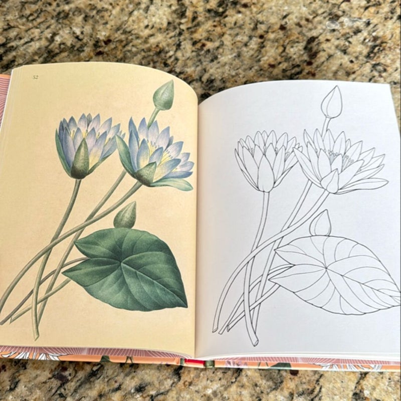 The Flowers Coloring Book