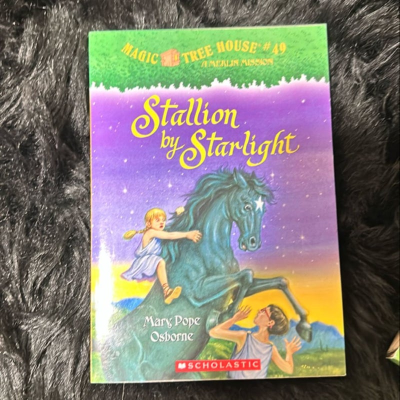 Stallion by Starlight 