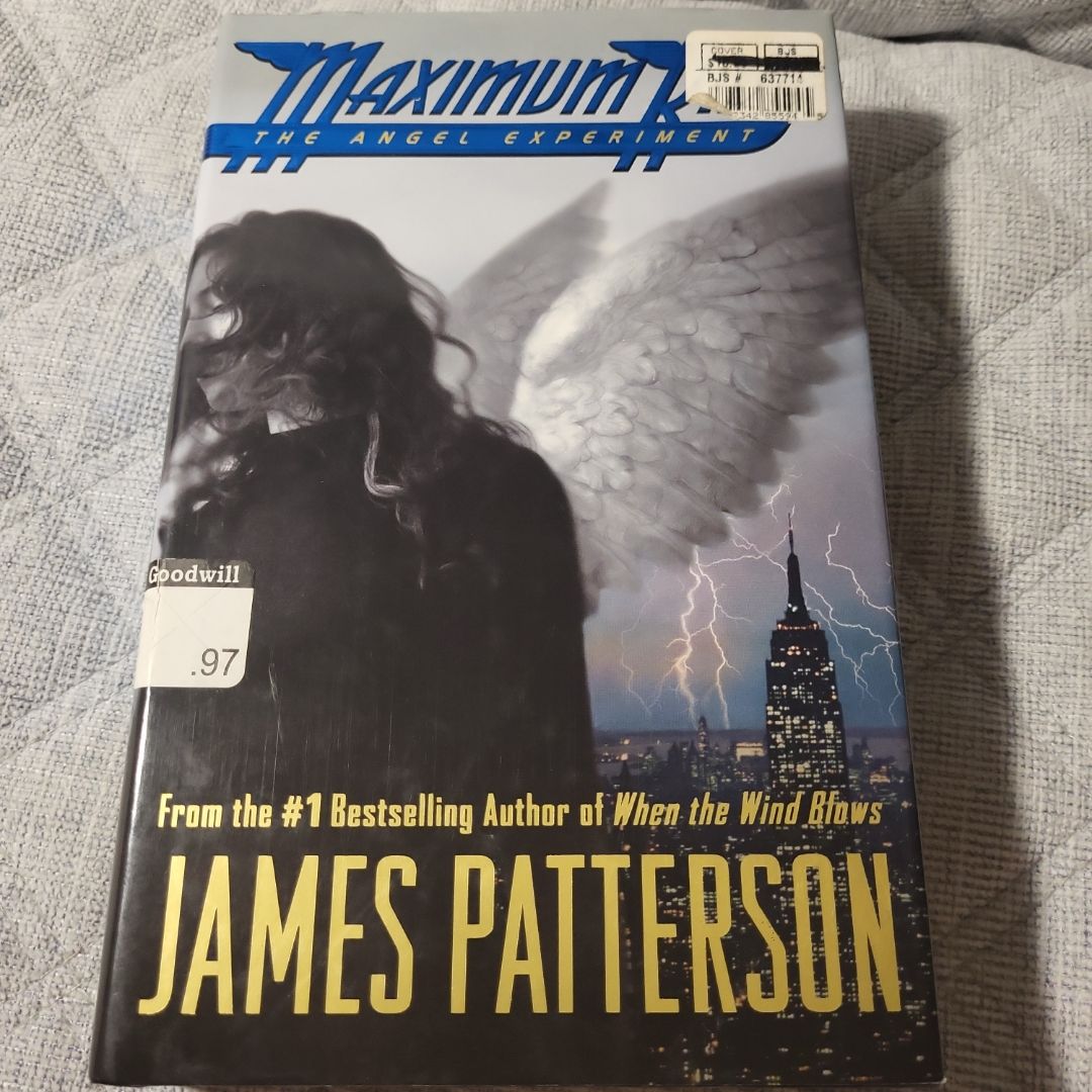 The Angel Experiment