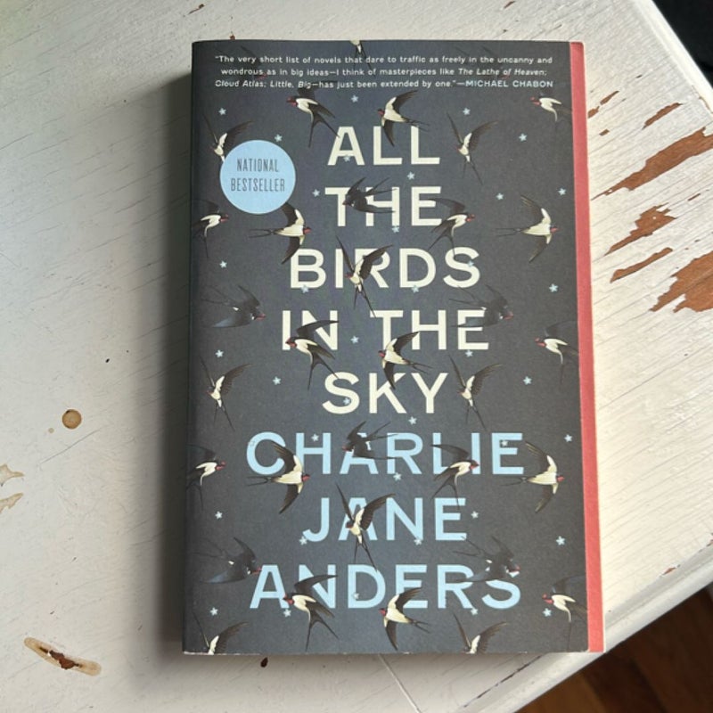 All the Birds in the Sky