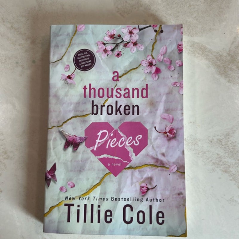 A Thousand Broken Pieces