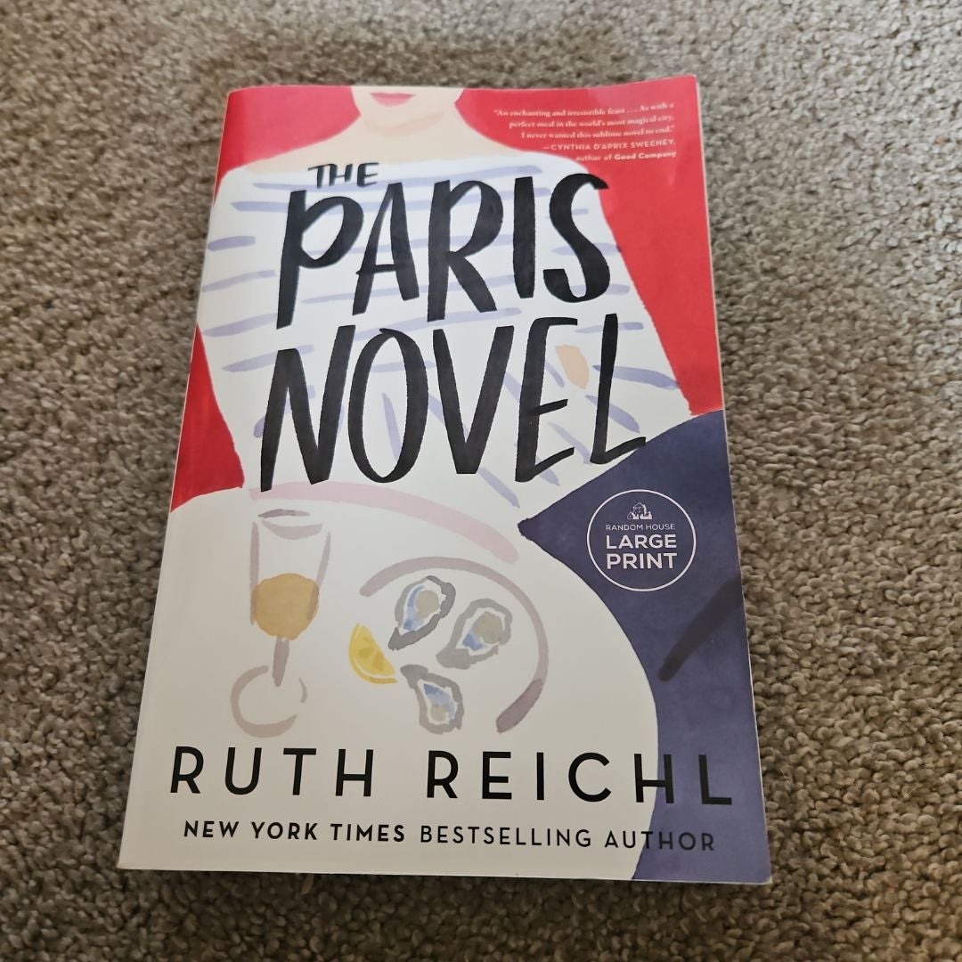 The Paris Novel