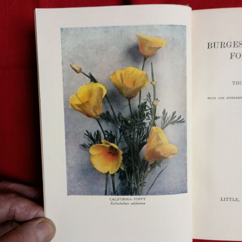 The Burgess Flower Book For Children 