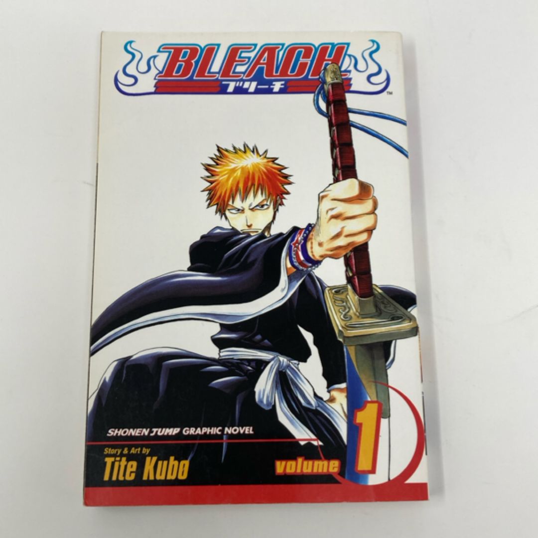 Bleach, Vol. 1