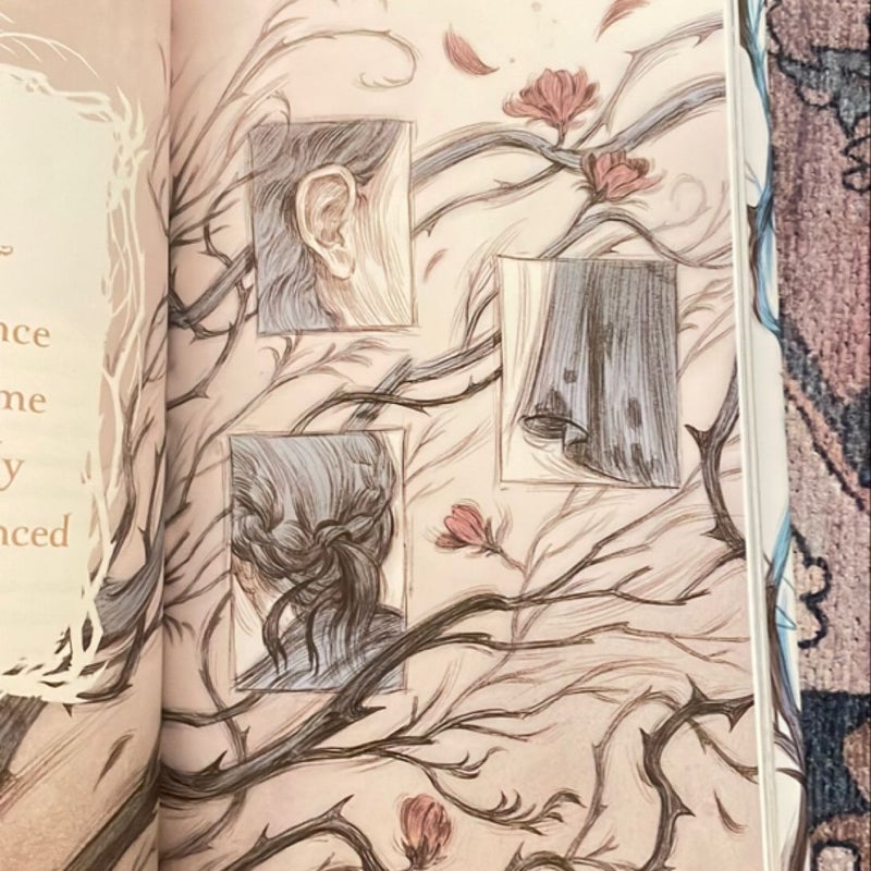 How the King of Elfhame Learned to Hate Stories