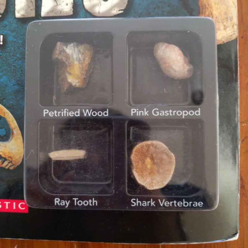 Rock On! Fossils