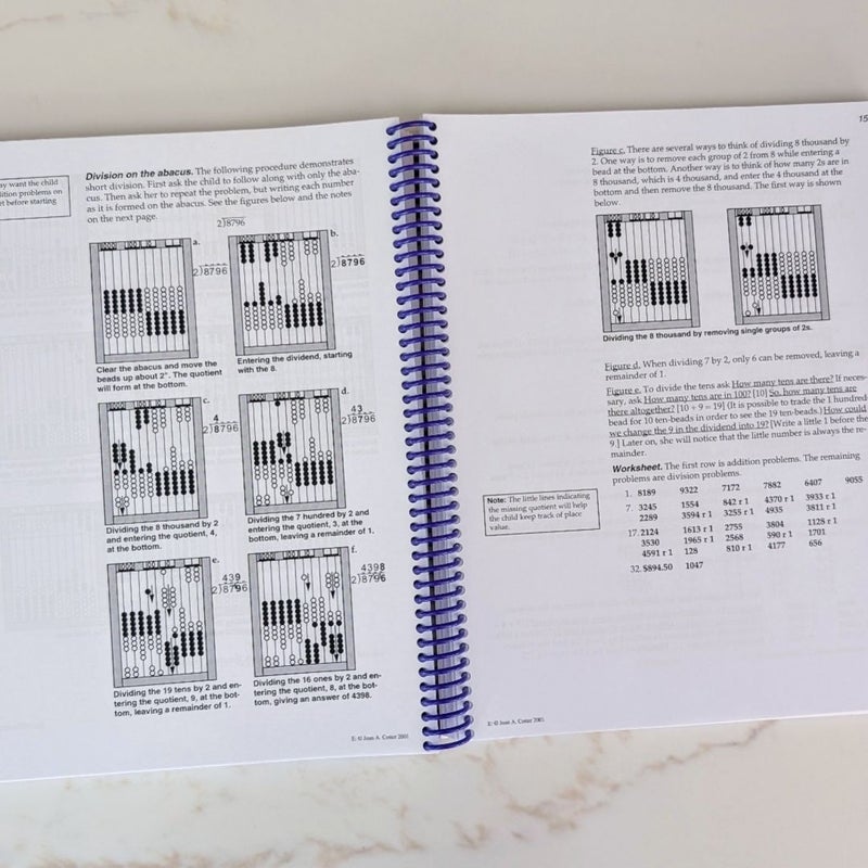 RightStart Mathematics Level E Lessons (June 2010)