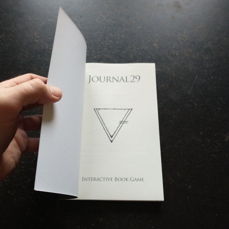 Journal 29