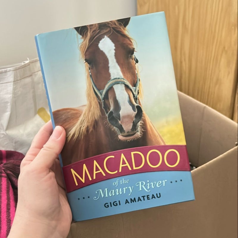 Macadoo: Horses of the Maury River Stables