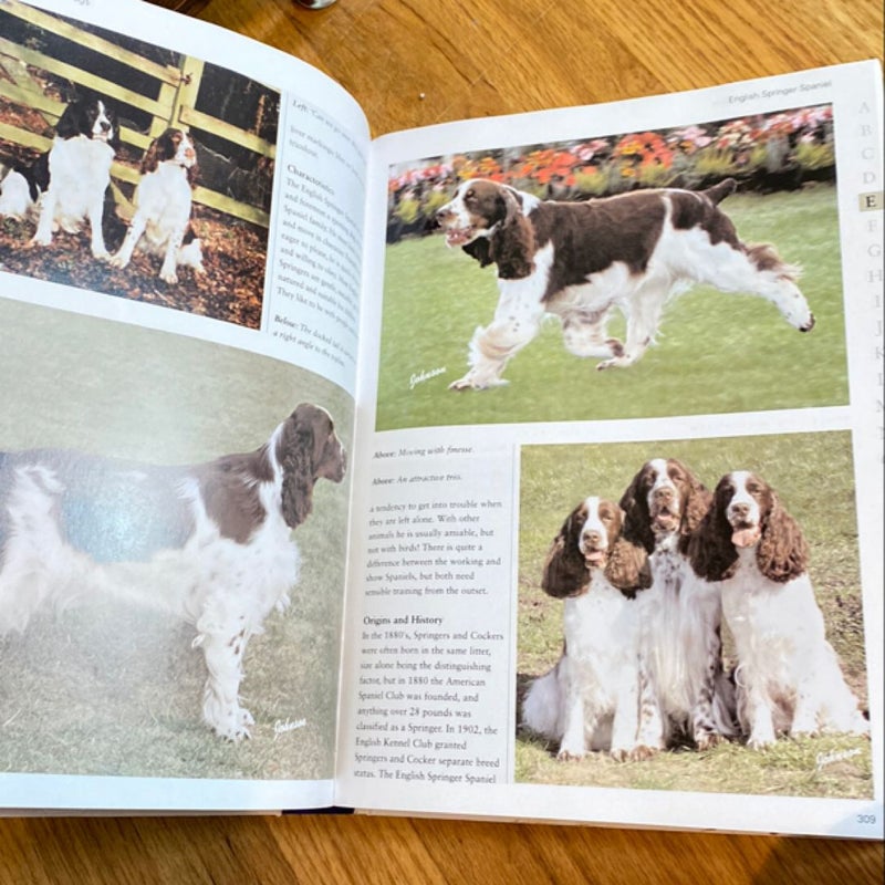 The illustrated directory of dogs 