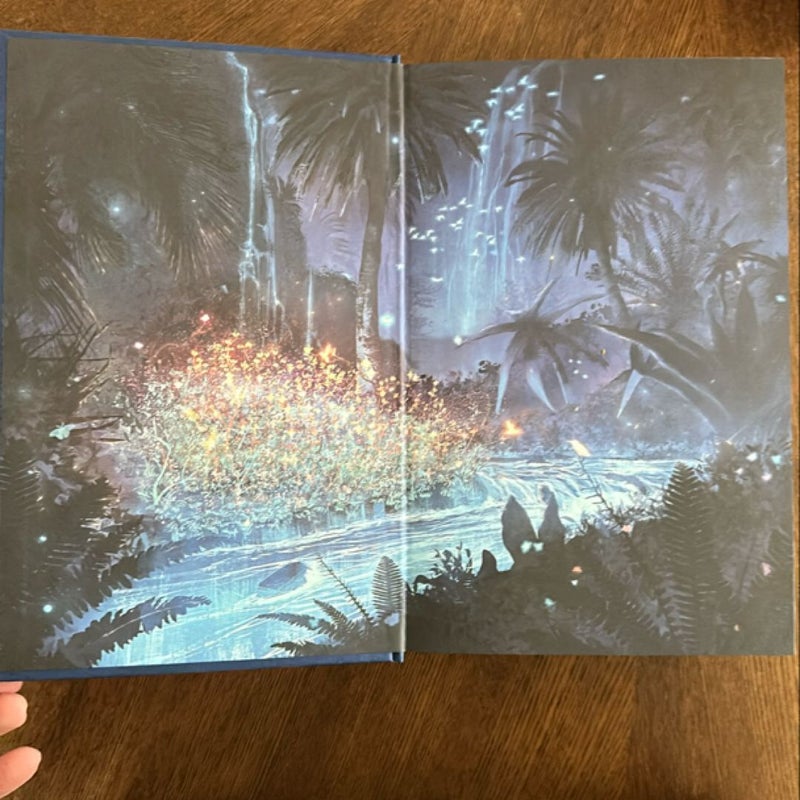 Crescent City Illumicrate with page inserts