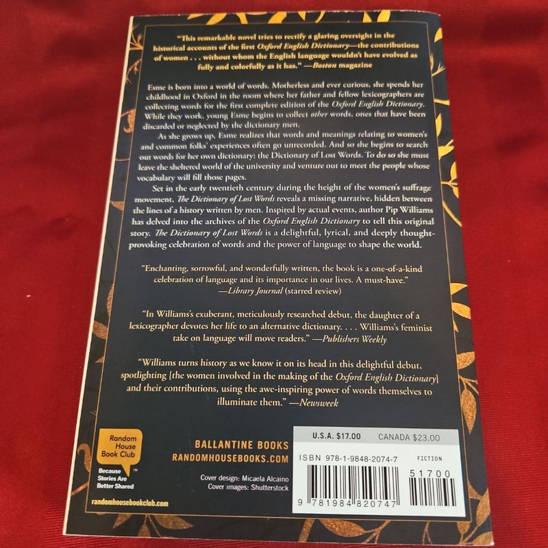The Dictionary of Lost Words