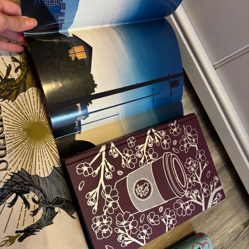 Target & Deluxe Onyx Storm, Fairyloot and BOTM, hat and tote