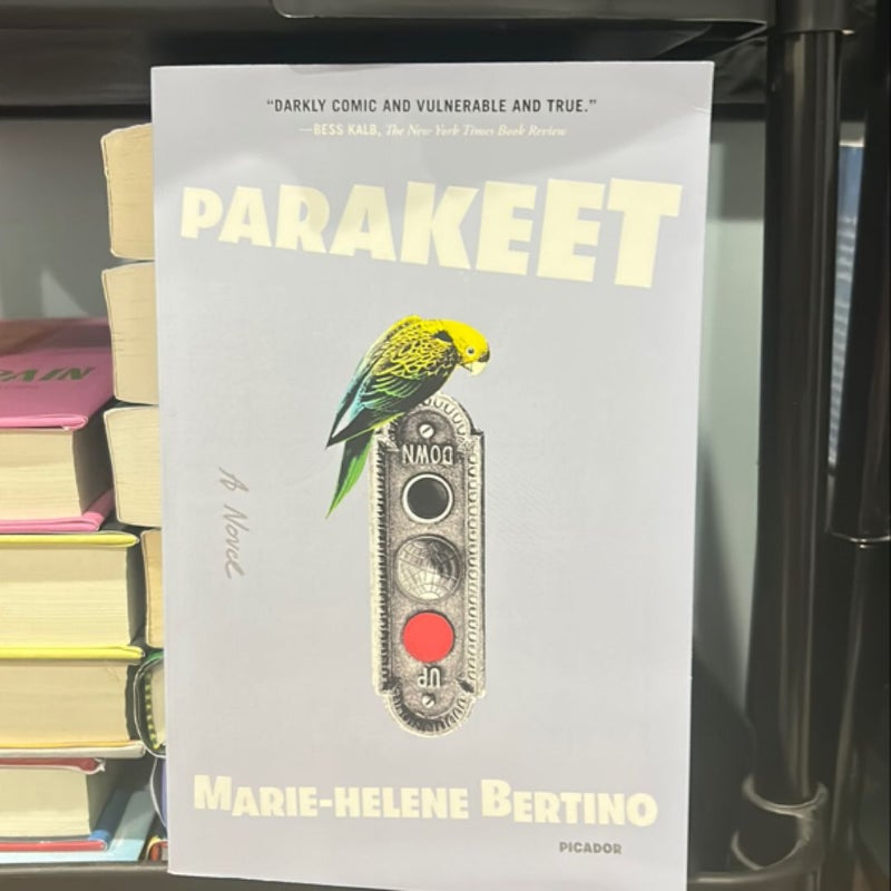 Parakeet