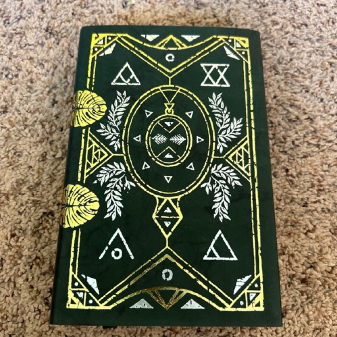 Witches Steeped in Gold